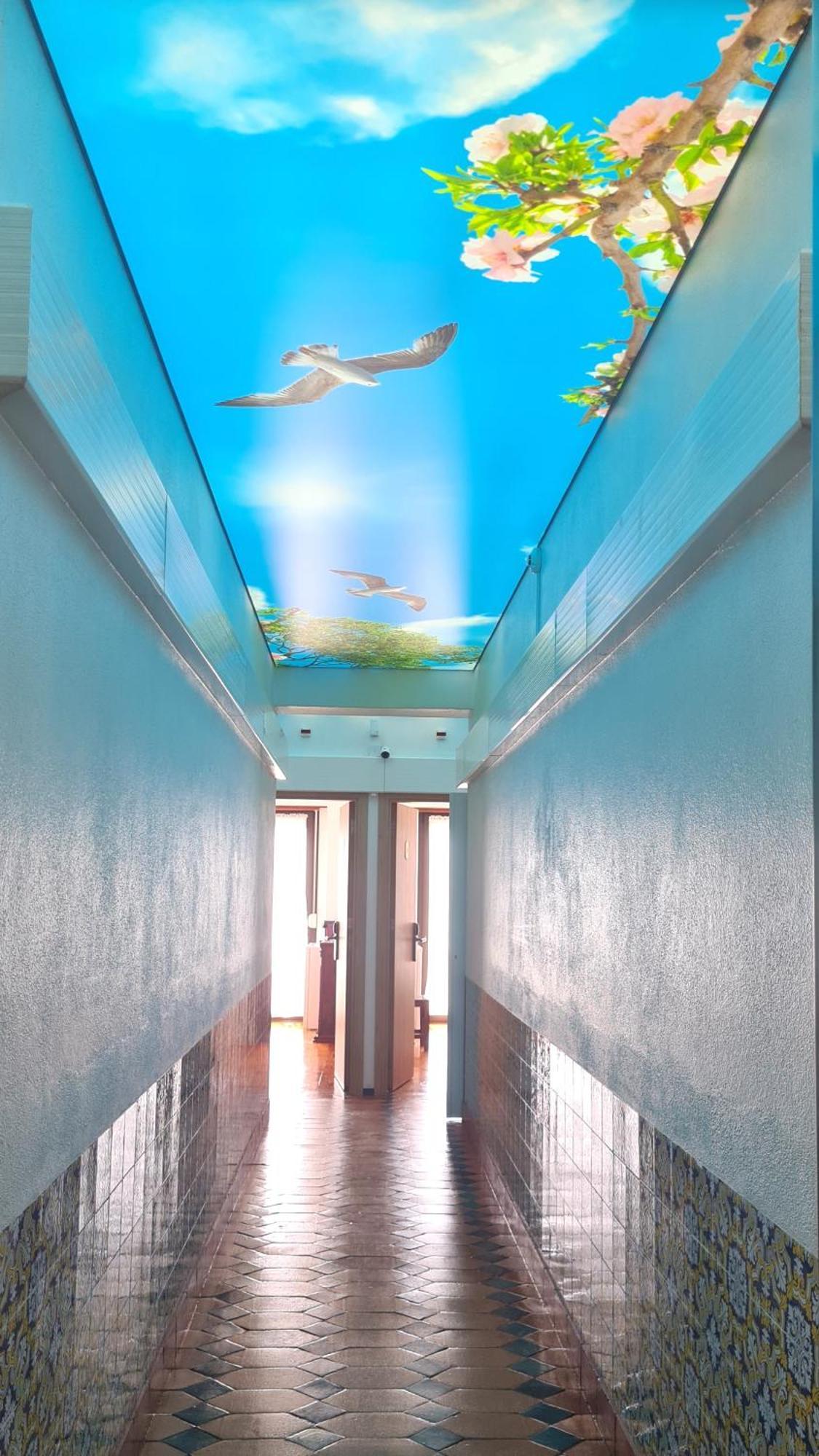 Solar Dos Carvalhos - Apartamentos De Turismo 나자레 외부 사진